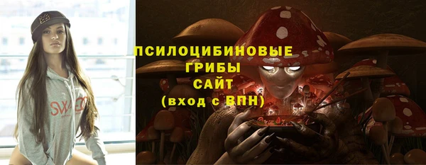 ПСИЛОЦИБИНОВЫЕ ГРИБЫ Инта