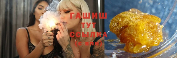ПСИЛОЦИБИНОВЫЕ ГРИБЫ Инта