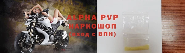 ПСИЛОЦИБИНОВЫЕ ГРИБЫ Инта