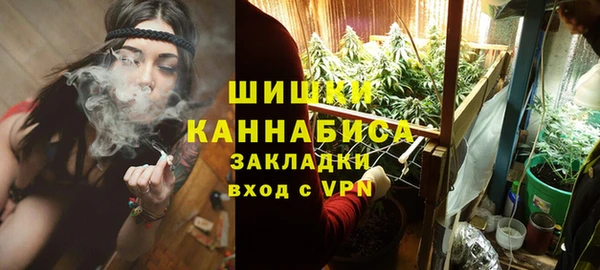 ПСИЛОЦИБИНОВЫЕ ГРИБЫ Инта