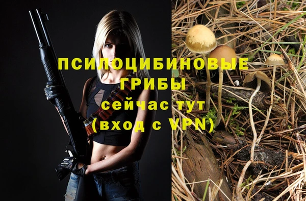 ПСИЛОЦИБИНОВЫЕ ГРИБЫ Инта
