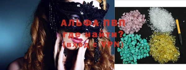 ПСИЛОЦИБИНОВЫЕ ГРИБЫ Инта