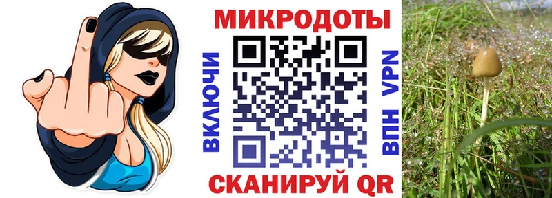 Галлюциногенные грибы ЛСД  Купить  Гулькевичи 
